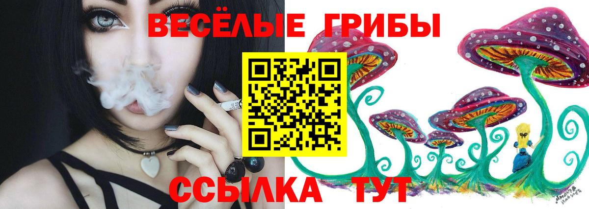 Псилоцибиновые грибы прущие грибы Киров
